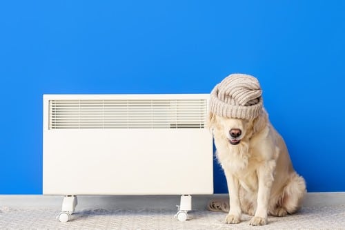 Chauffage d'appoint VS radiateur : quel est le plus rentable ?